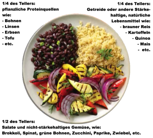 PlantBasedPlate_Explanation