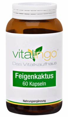 Feigenkaktus