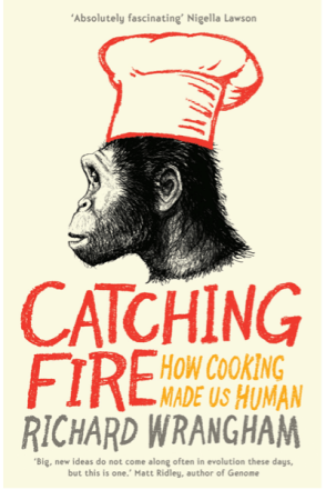 BuchCover_CatchingFire